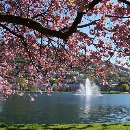 Cosy With Free Parking *