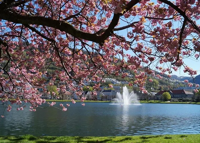 Cosy With Free Parking *