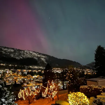 Cosy With Free Parking *