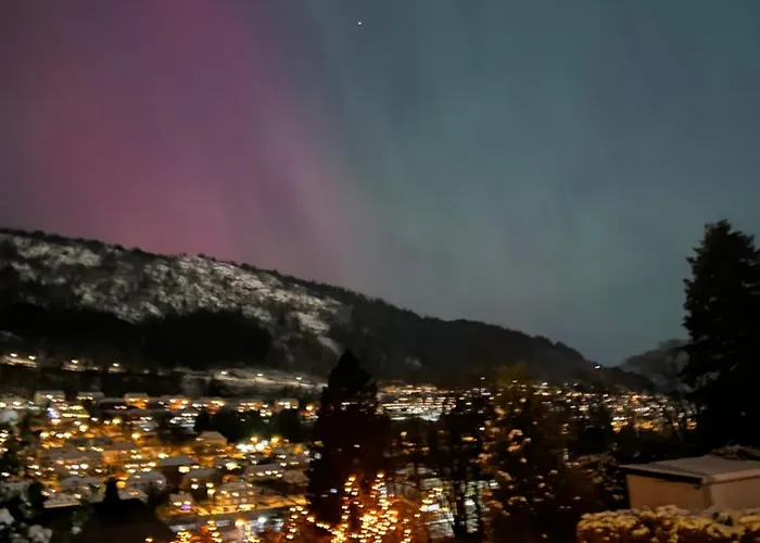 Cosy With Free Parking *